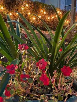 No.28 The Cookery Ltd