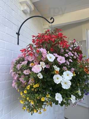 Morley Nurseries And Tearoom