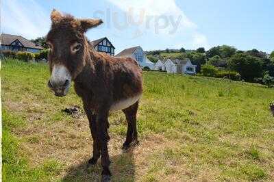 Larkstone Family Restaurant And Leisure Park