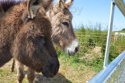 Larkstone Family Restaurant And Leisure Park