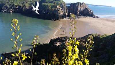 The Original Fecci's Ice Cream Parlour