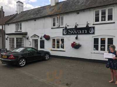 The Swan