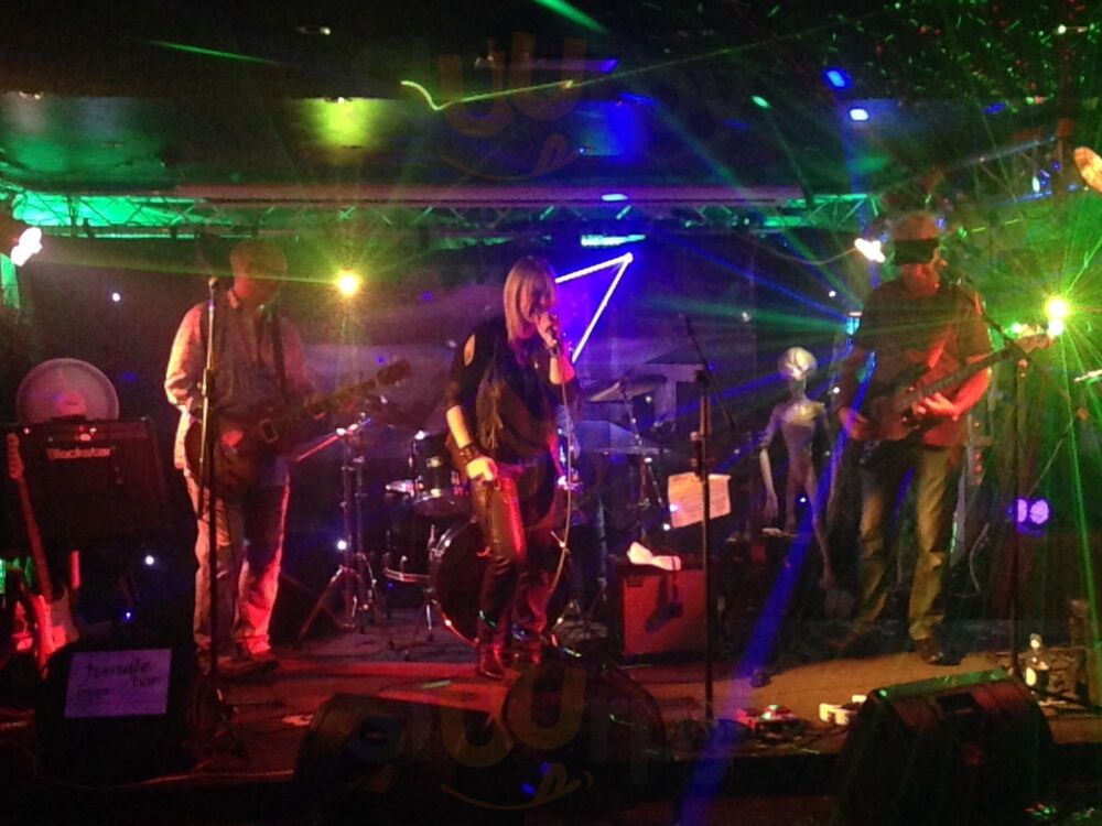 The Jungle Bar