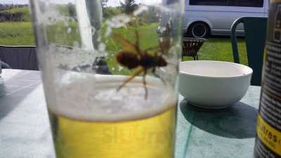 Stowaways Restaurant