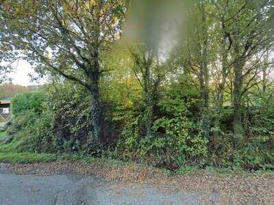 Snack Shack Teigngrace