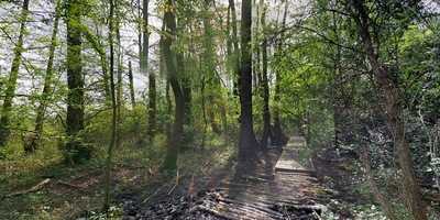 The Blue Steak Restaurant