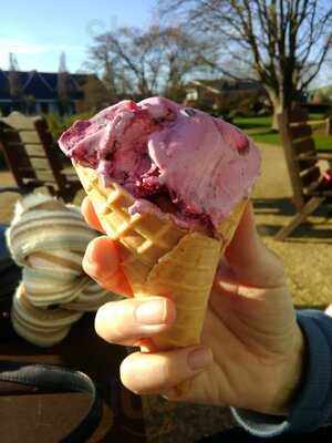 Springy’s American Diner