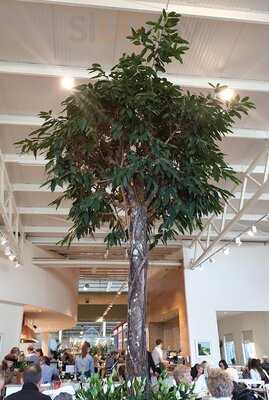 Bicester Avenue Garden Centre