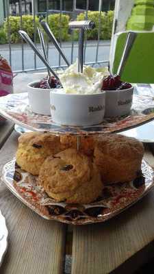 The Fuchsia Tea Gardens