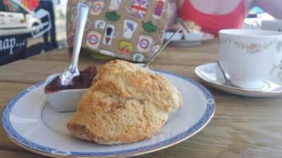 The Fuchsia Tea Gardens