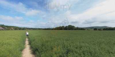 Wyevale Garden Centres