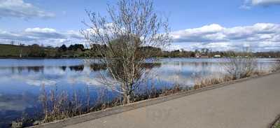 The Waterside Cafe
