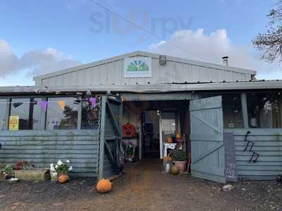 Storms Burgers And Beverages