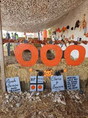 Storms Burgers And Beverages