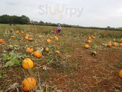 Storms Burgers And Beverages