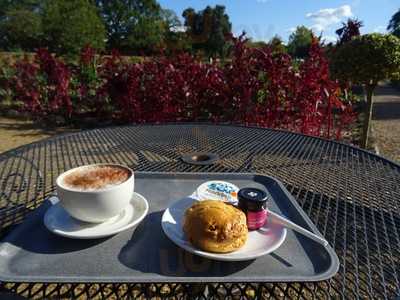 The Orangery Cafe