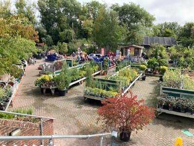 Lewes Garden Centre