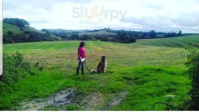 The Blackboard Bistro