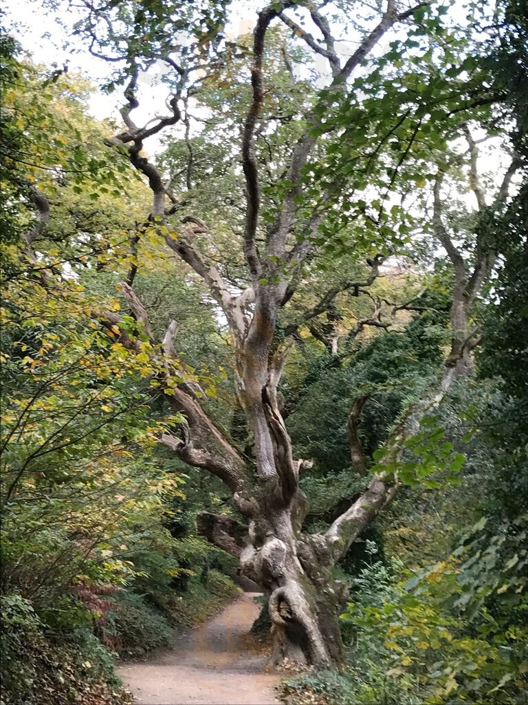 Mr Creaton's Coffee Shop