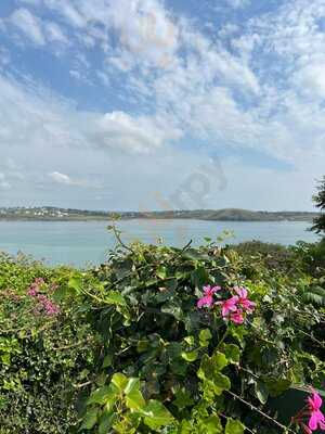 Rest A While Tea Garden