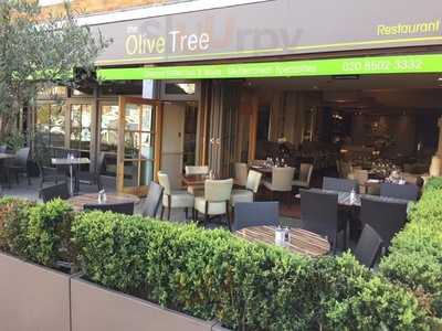 The Olive Tree