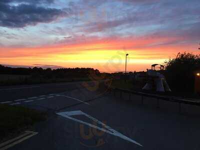 Toran Indian Cuisine