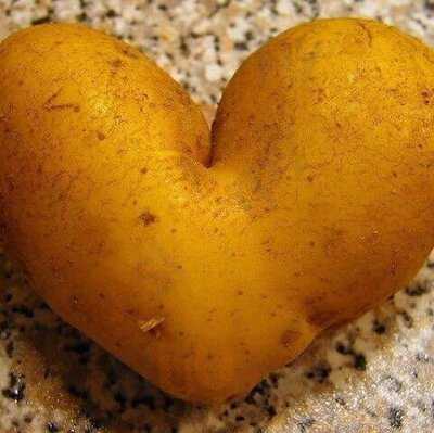 Cox's At The Lighthouse