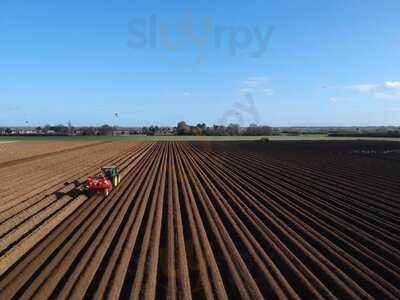 Cox's At The Lighthouse