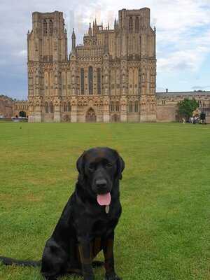 Rugantino Restaurant