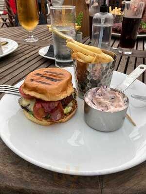 The Dog And Pheasant