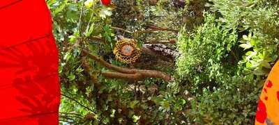 The Old Thatch Tearooms