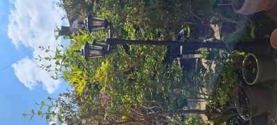 The Old Thatch Tearooms