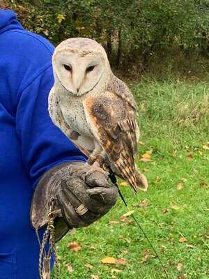 Three Lakes At Westmill Farm