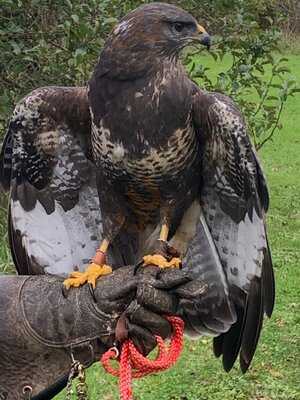 Three Lakes At Westmill Farm