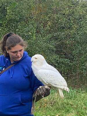 Three Lakes At Westmill Farm
