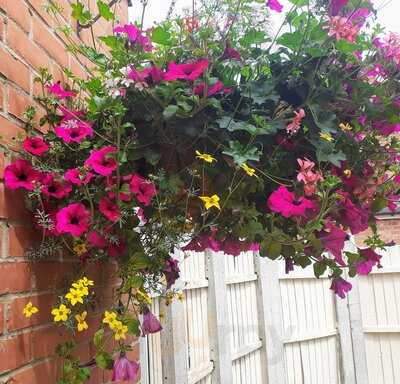 The Battesford Court - Photo 7