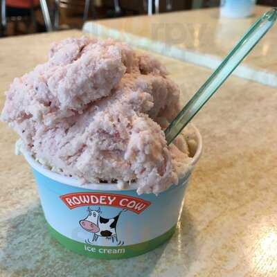 The Rowdey Cow Cafe And Ice Cream Parlour
