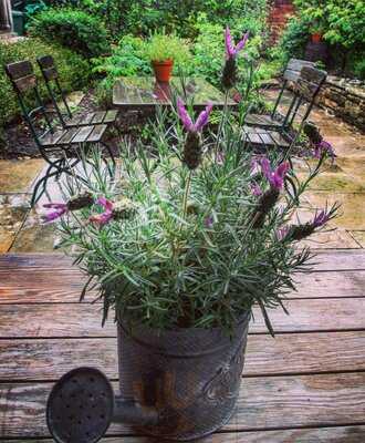 One Holyrood Tea Rooms