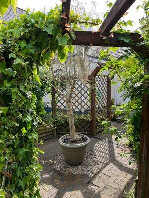 Mortimer Arms Restaurant