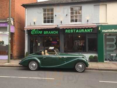 Olive Branch