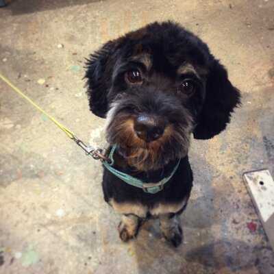 Changing Perceptions