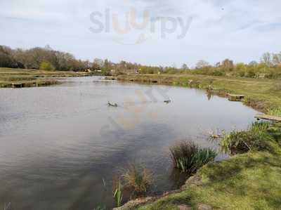 Coleman's Cottage Fishery