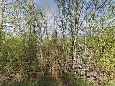 Coleman's Cottage Fishery