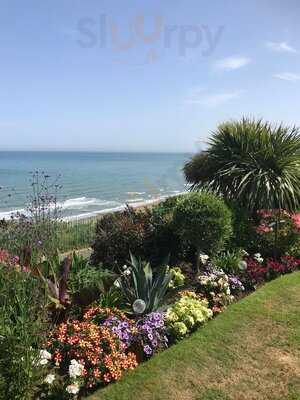 Deck Tea Gardens At Carlton Hotel