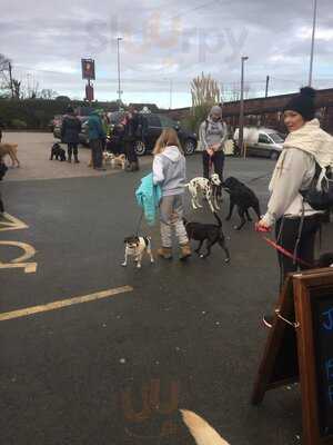 Queens Head Hotel Public House