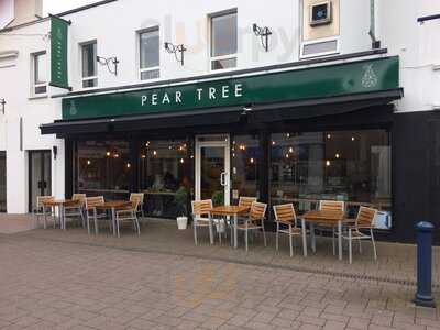 Pear Tree