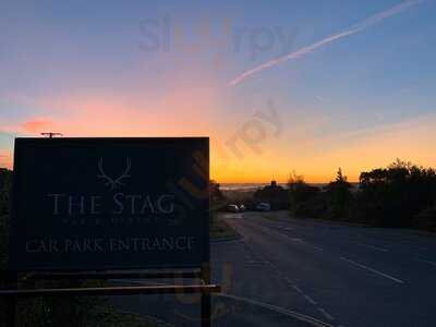 The Stag
