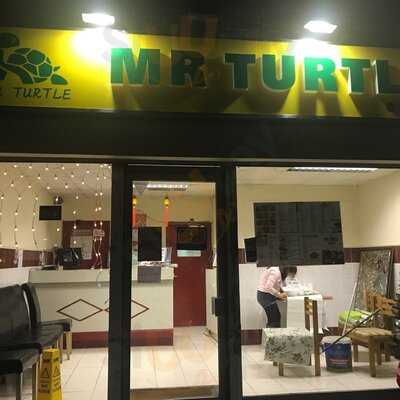 Mr Turtle