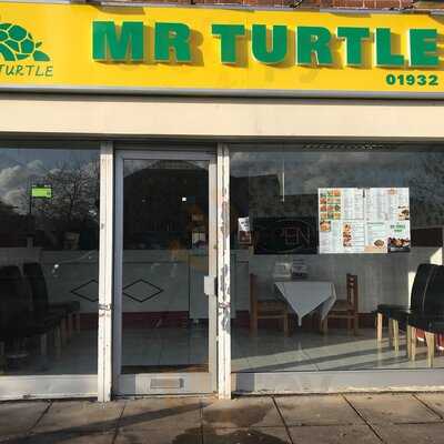 Mr Turtle
