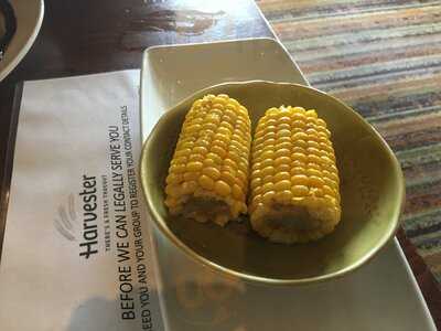 Harvester The Beech Hurst